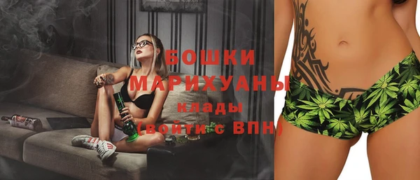 PSILOCYBIN Лиски