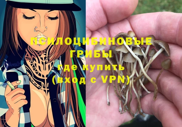 PSILOCYBIN Лиски